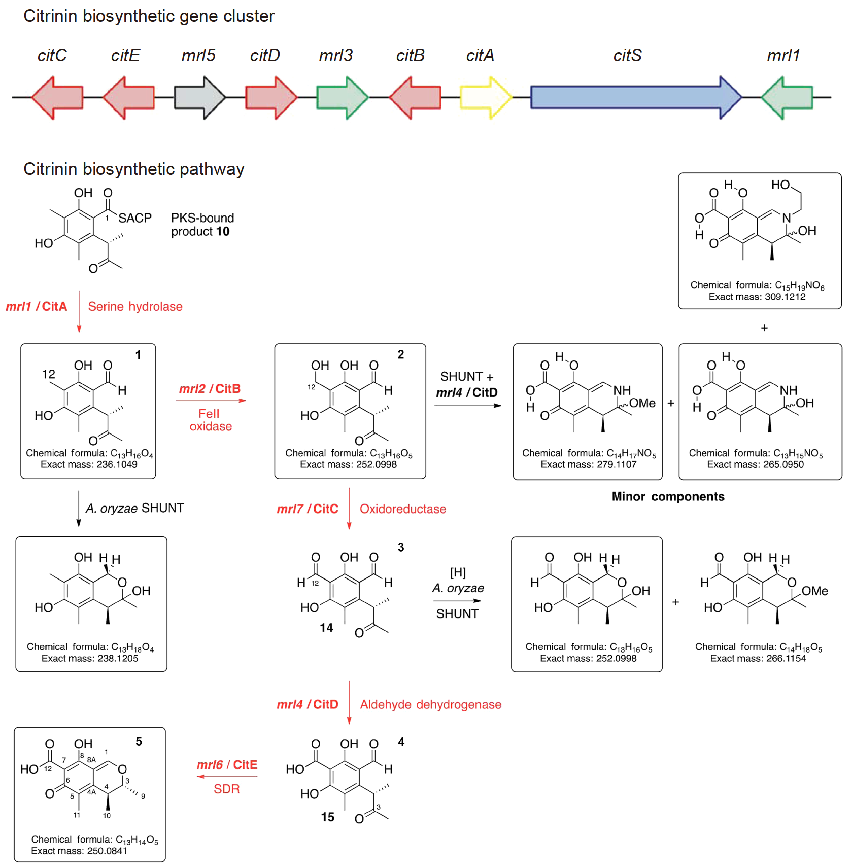 figures-de24fdbcfc954a6797f0f941ea7dc64d-TB-2022-0736-t5