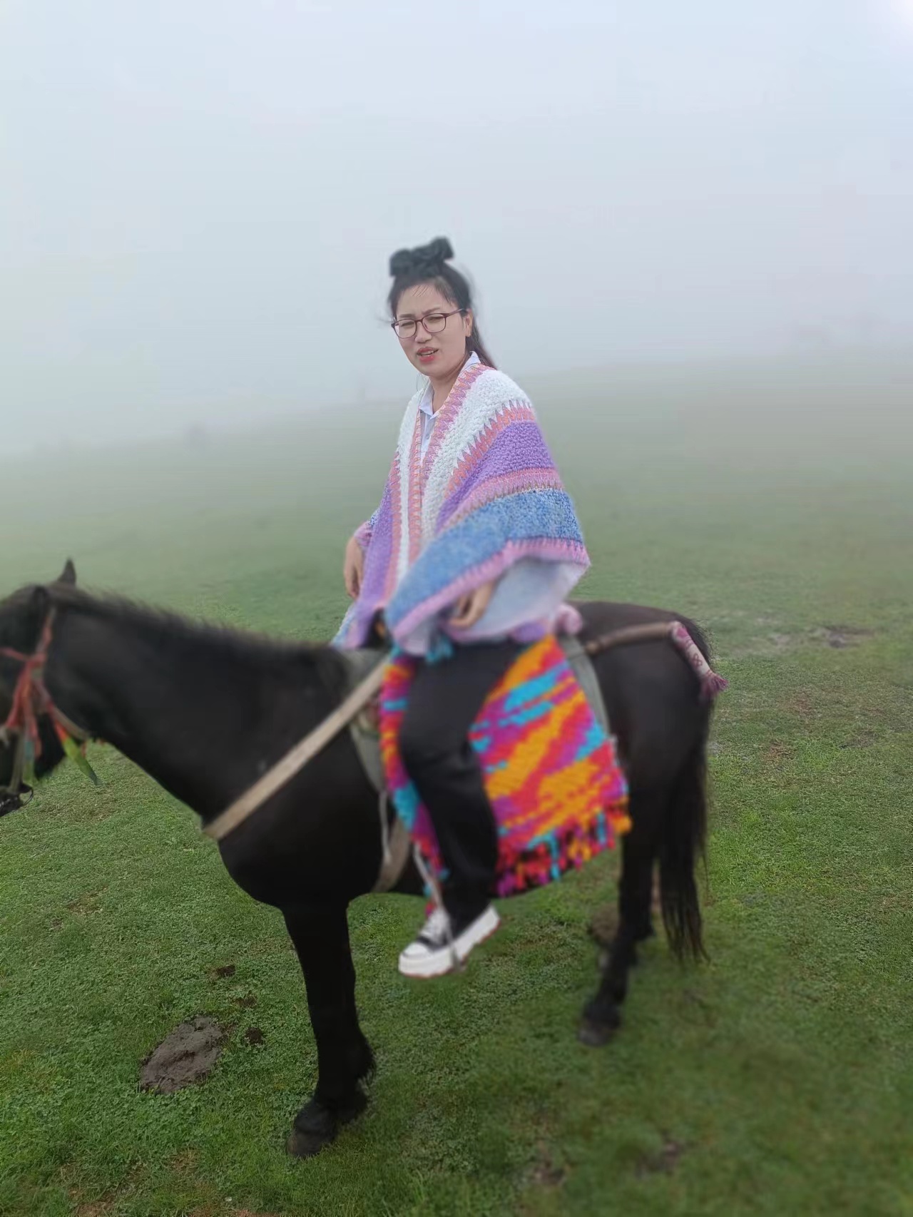 24 阿凡提和小毛驢